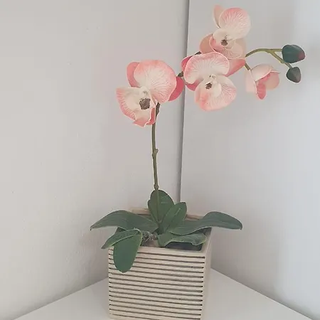 Apartamento Amelie Zadar