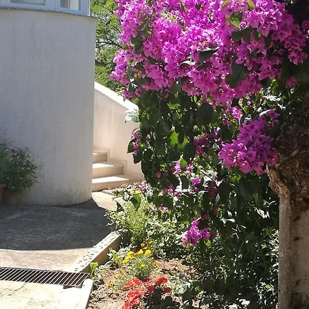 Amelie Ζαντάρ