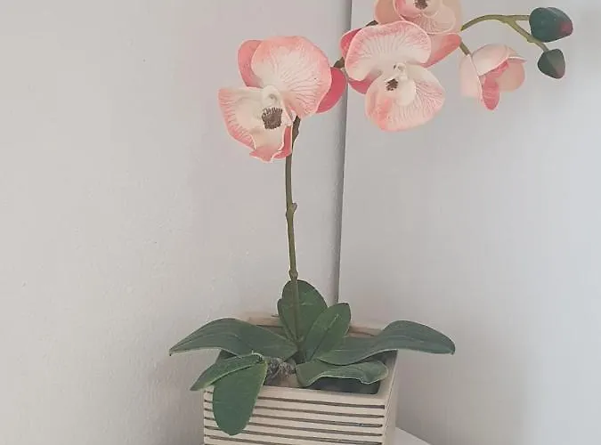 Апартаменты Amelie Задар